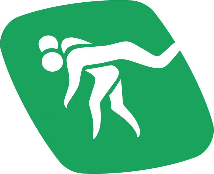 Файл:Kurash1.png