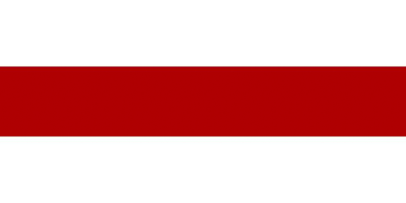 Файл:Flag of Belarus RW.png
