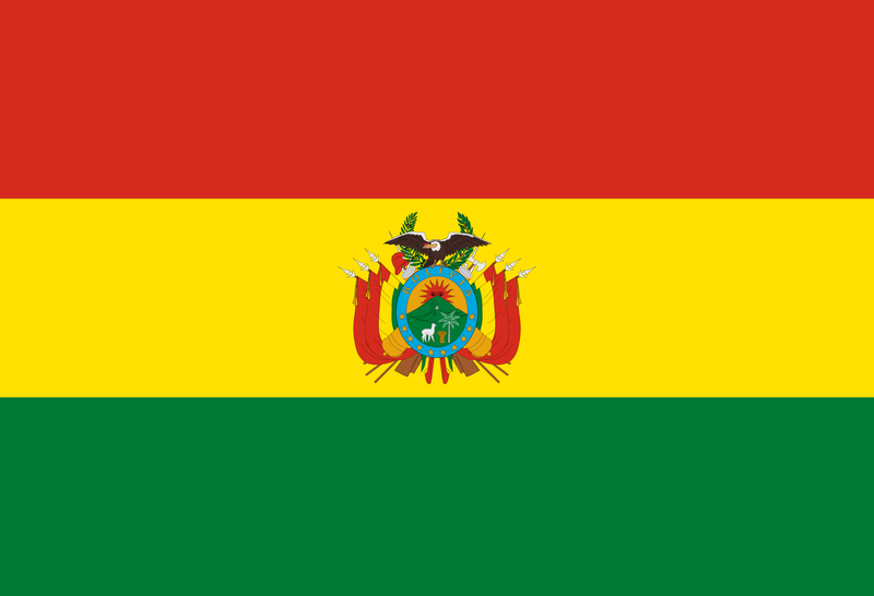 Файл:Flag of Bolivia.png