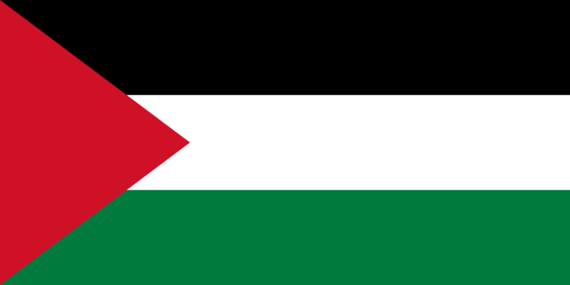 Файл:Flag of Palestine.png