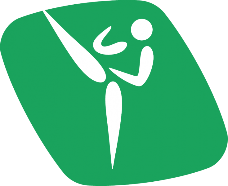 Файл:Taekwondo1.png