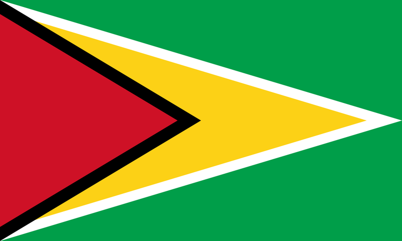 Файл:Flag of Guyana.png